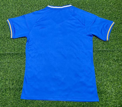 Italy Special Edition 2023/2024 Fan Version Football Jersey