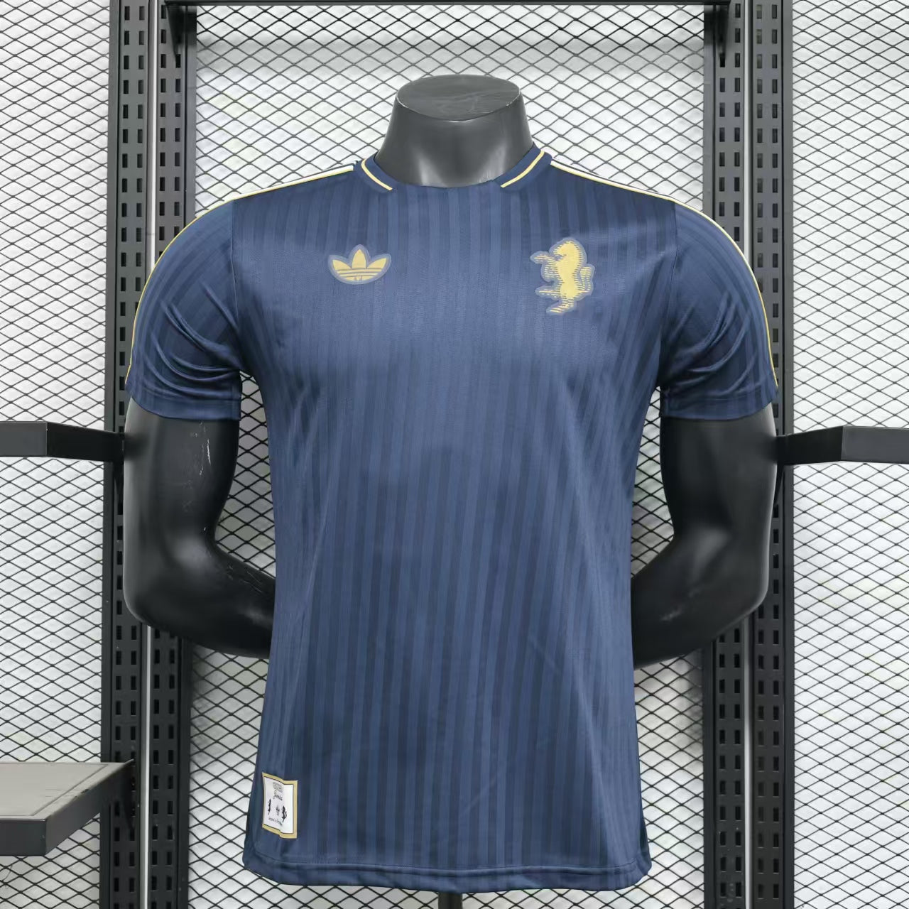 Manchester United Special Edition 2024/2025 Player Version Football Jersey