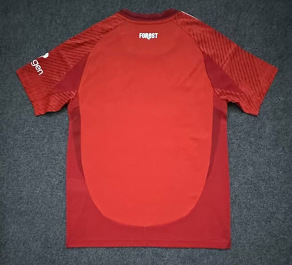 England Other Clubs 2024/2025 Home Fan Version Football Jersey