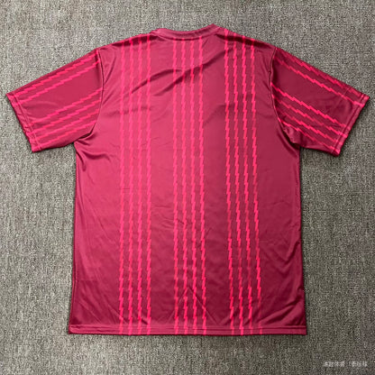 Arsenal Special Edition 2025/2026 Fan Version Football Jersey