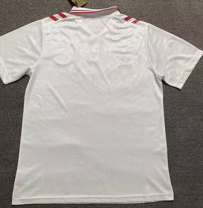 Denmark 2024/2025 Away Fan Version Football Jersey