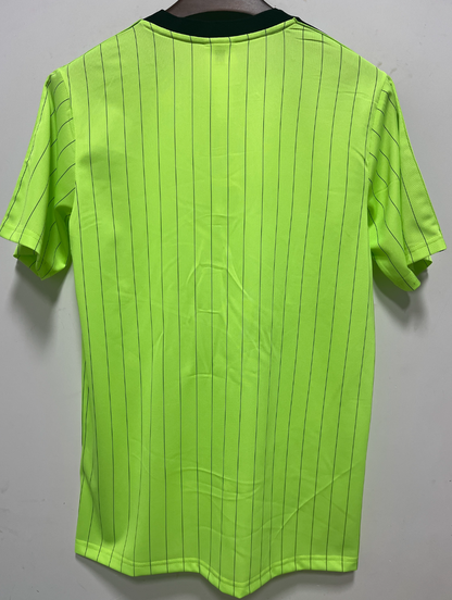 Celtic Special Edition 2025/2026 Fan Version Football Jersey