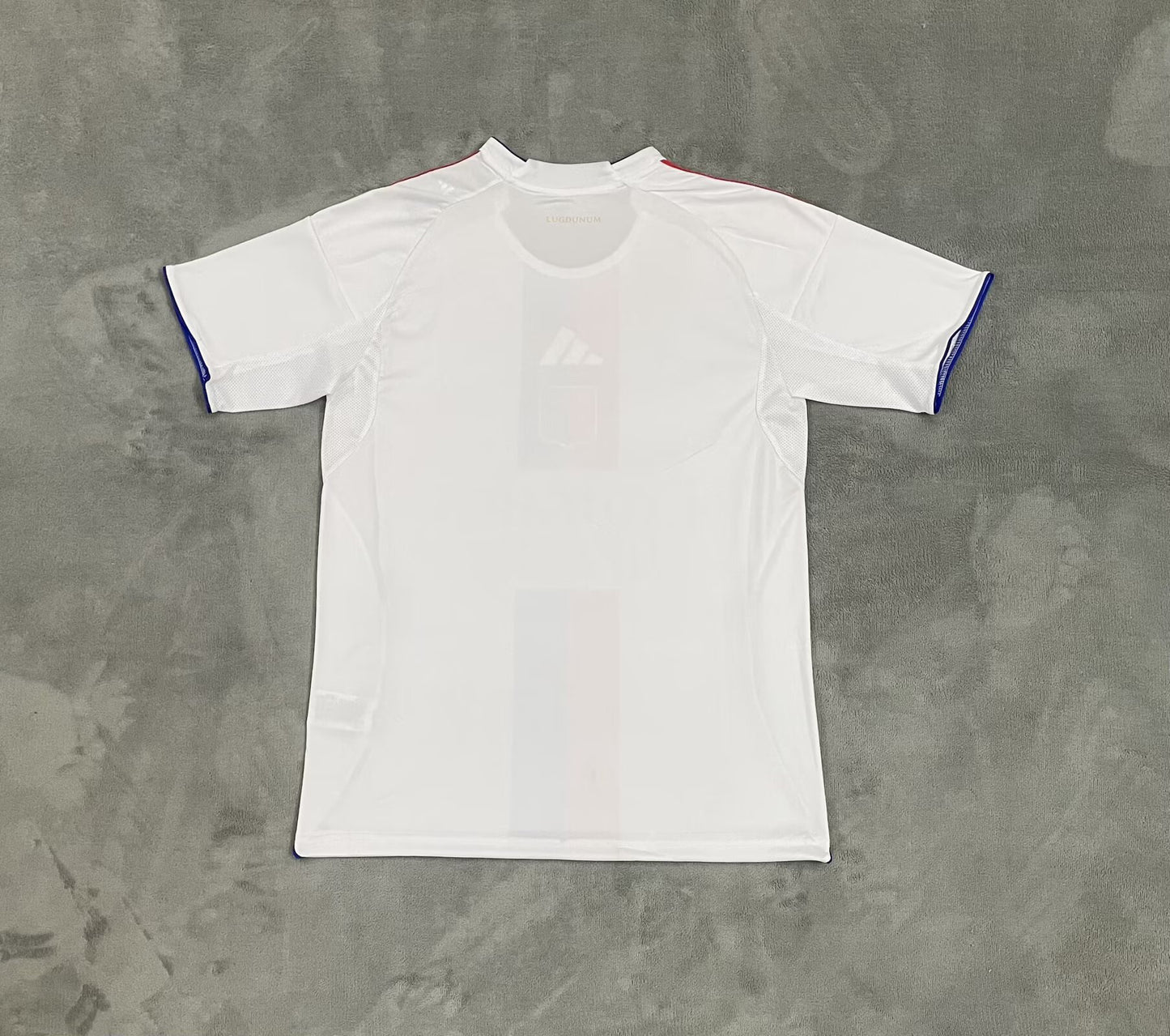 France -Ligue 1 2025/2026 Home Fan Version Football Jersey