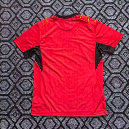Ghana Special Edition 2026/2027 Fan Version Football Jersey