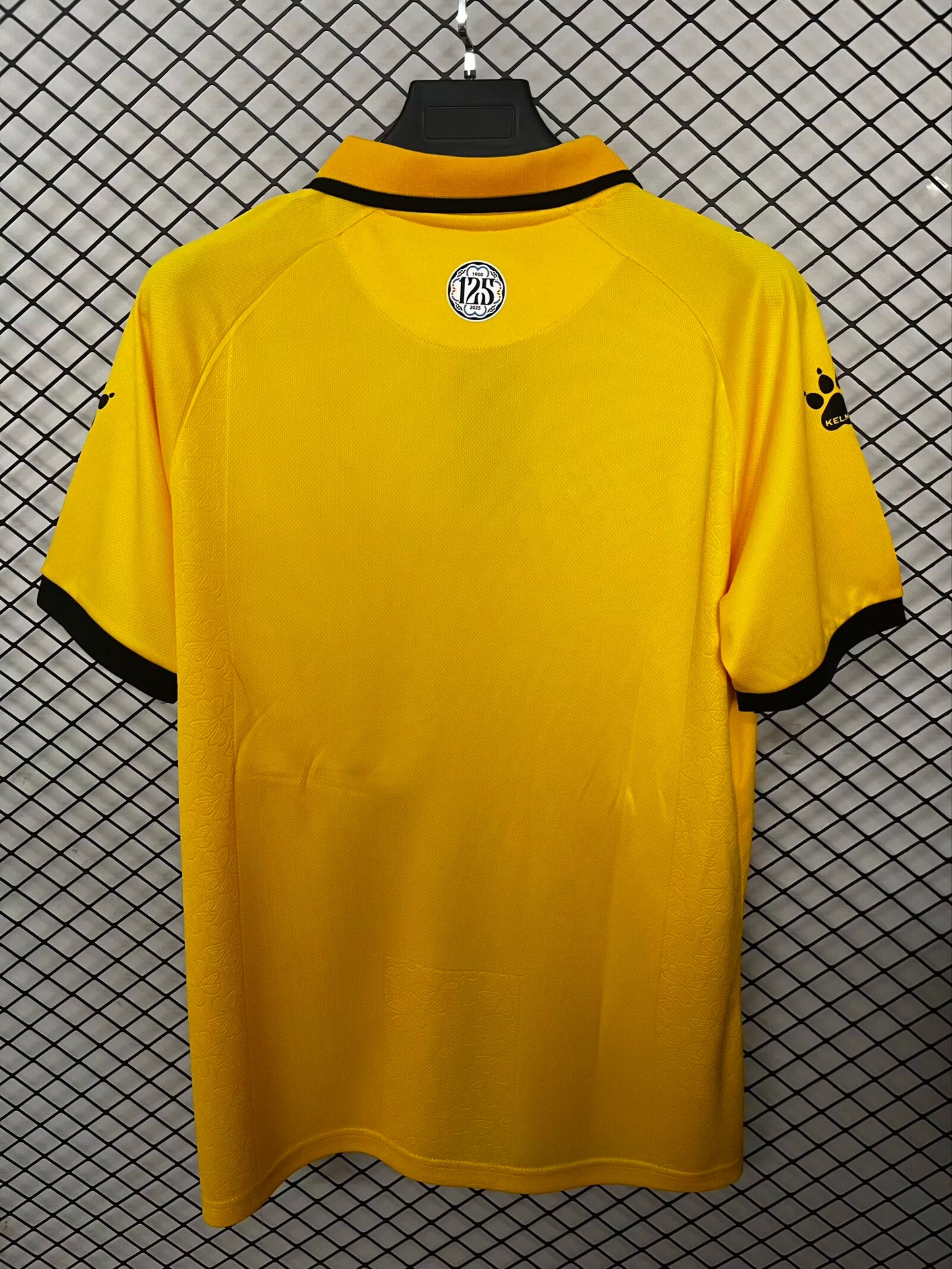 RCD Espanyol Special Edition 2025/2026 Fan Version Football Jersey