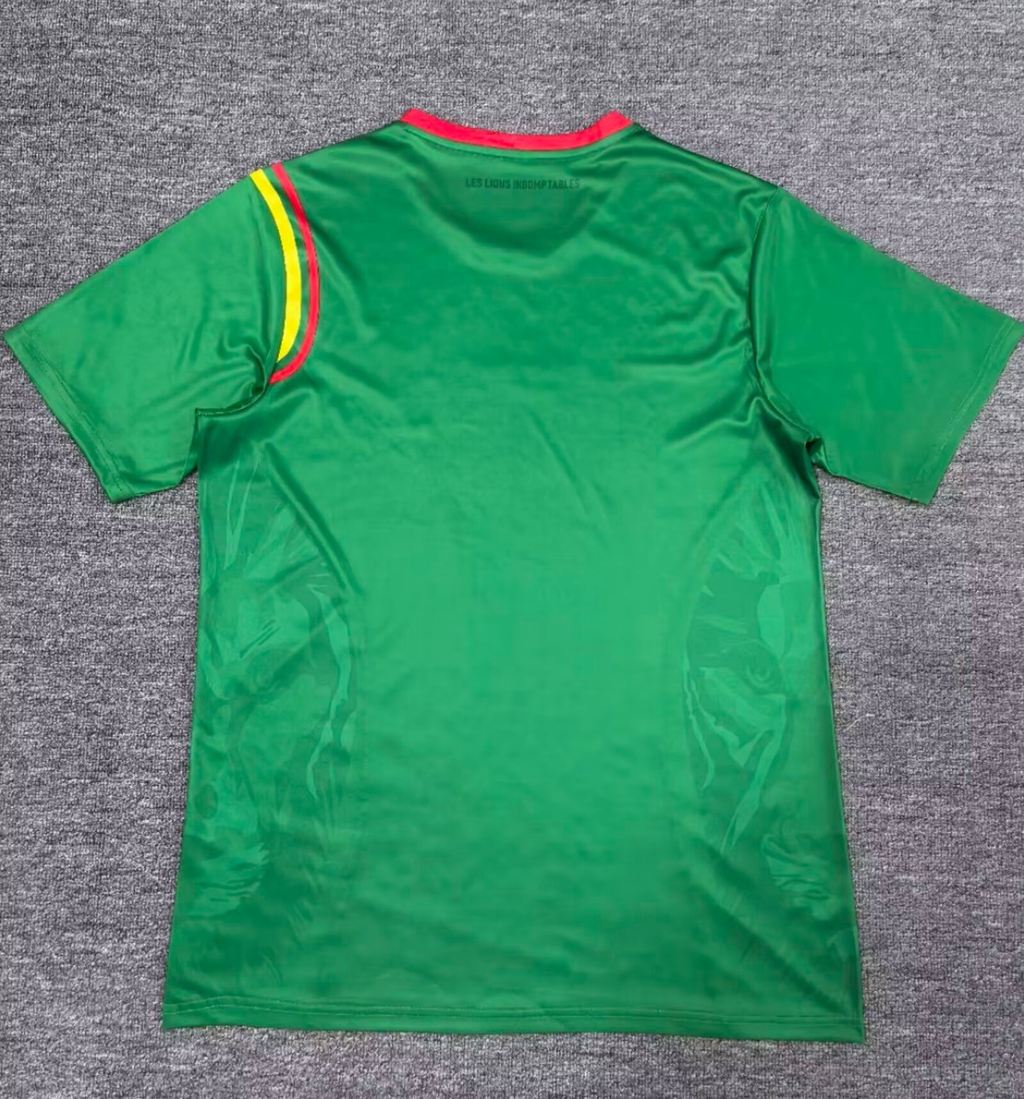 Cameroon 2024/2025 Home Fan Version Football Jersey