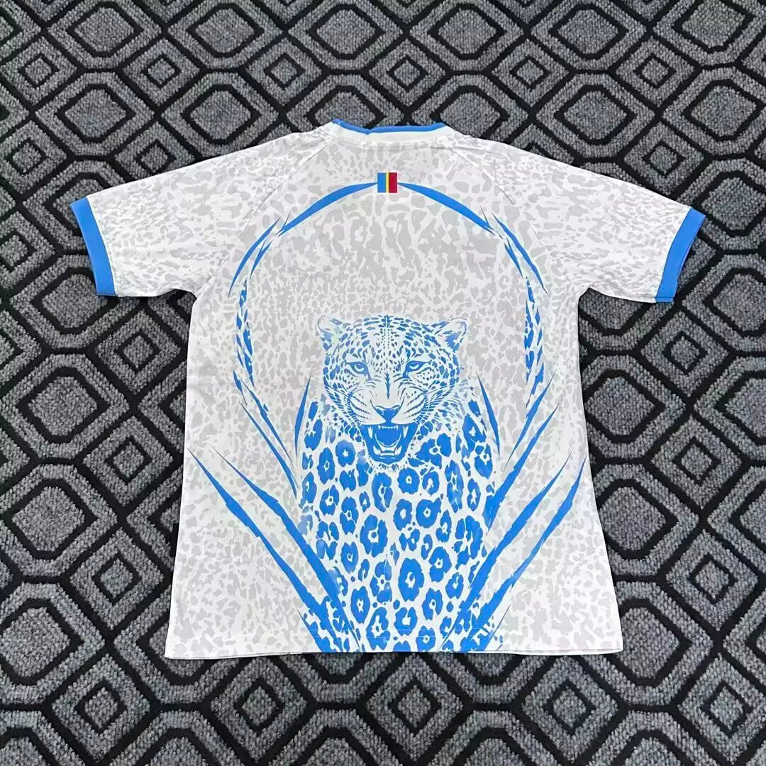 Congo 2026/2027 Away Fan Version Football Jersey
