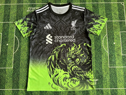 Liverpool Special Edition 2024/2025 Fan Version Football Jersey
