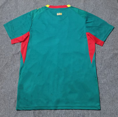 Senegal 2026/2027 Away Fan Version Football Jersey
