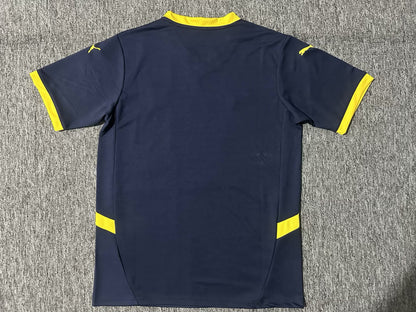other team Special Edition 2024/2025 Fan Version Football Jersey