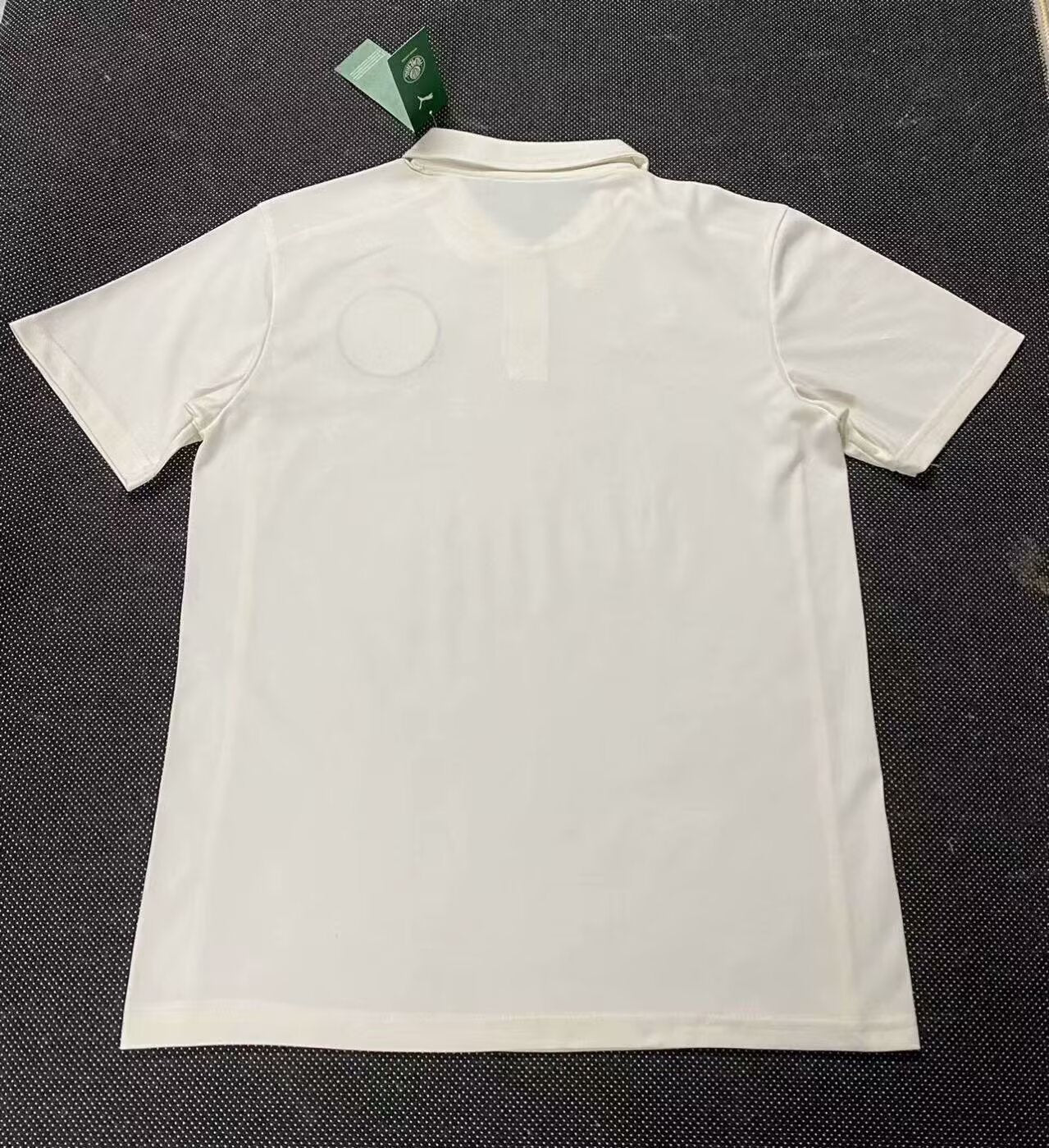 Palmeiras Special Edition 2025/2026 Fan Version Football Jersey