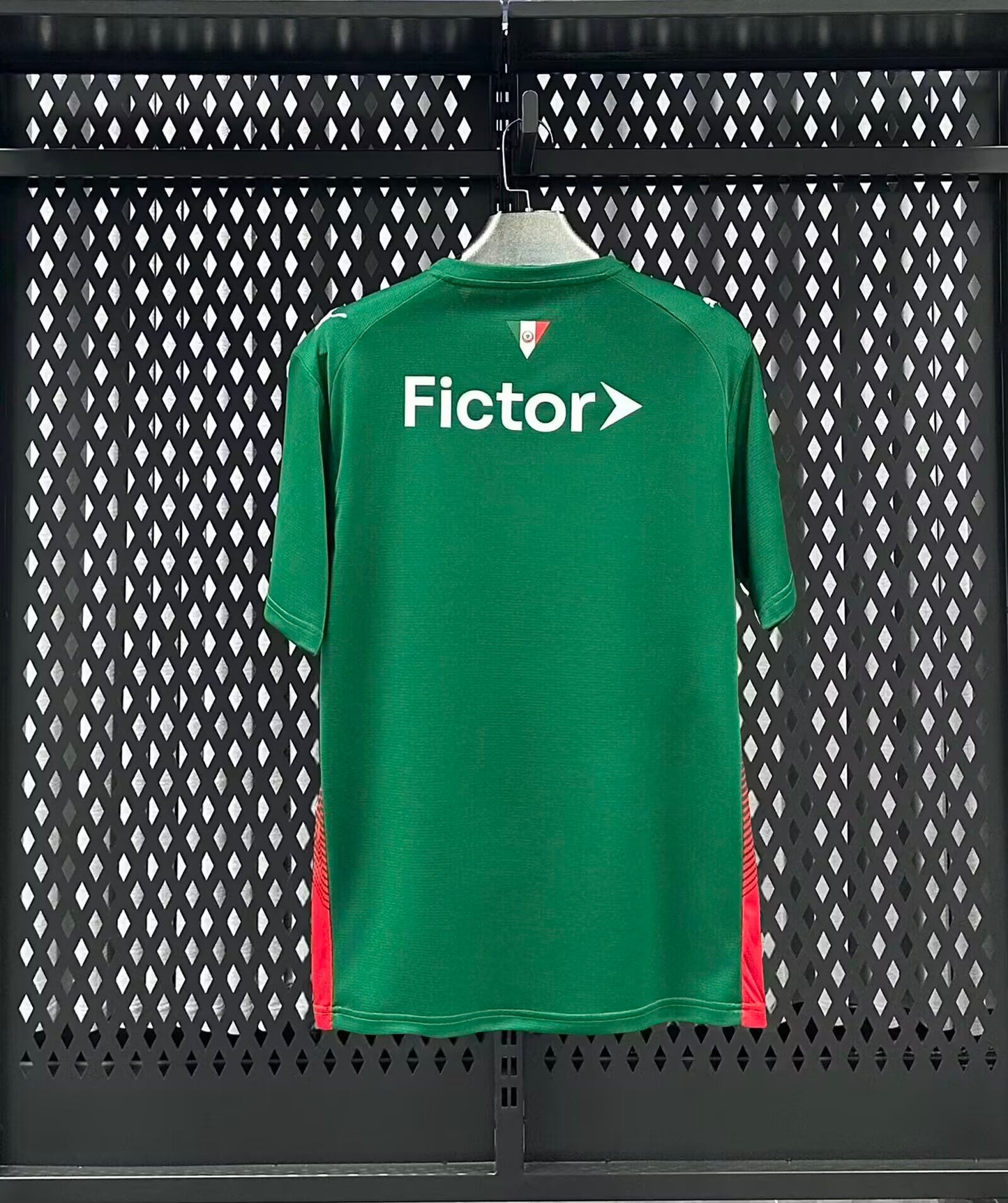 Palmeiras 2026/2027 Home Fan Version Football Jersey
