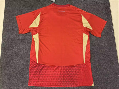 other team 2024/2025 Home Fan Version Football Jersey
