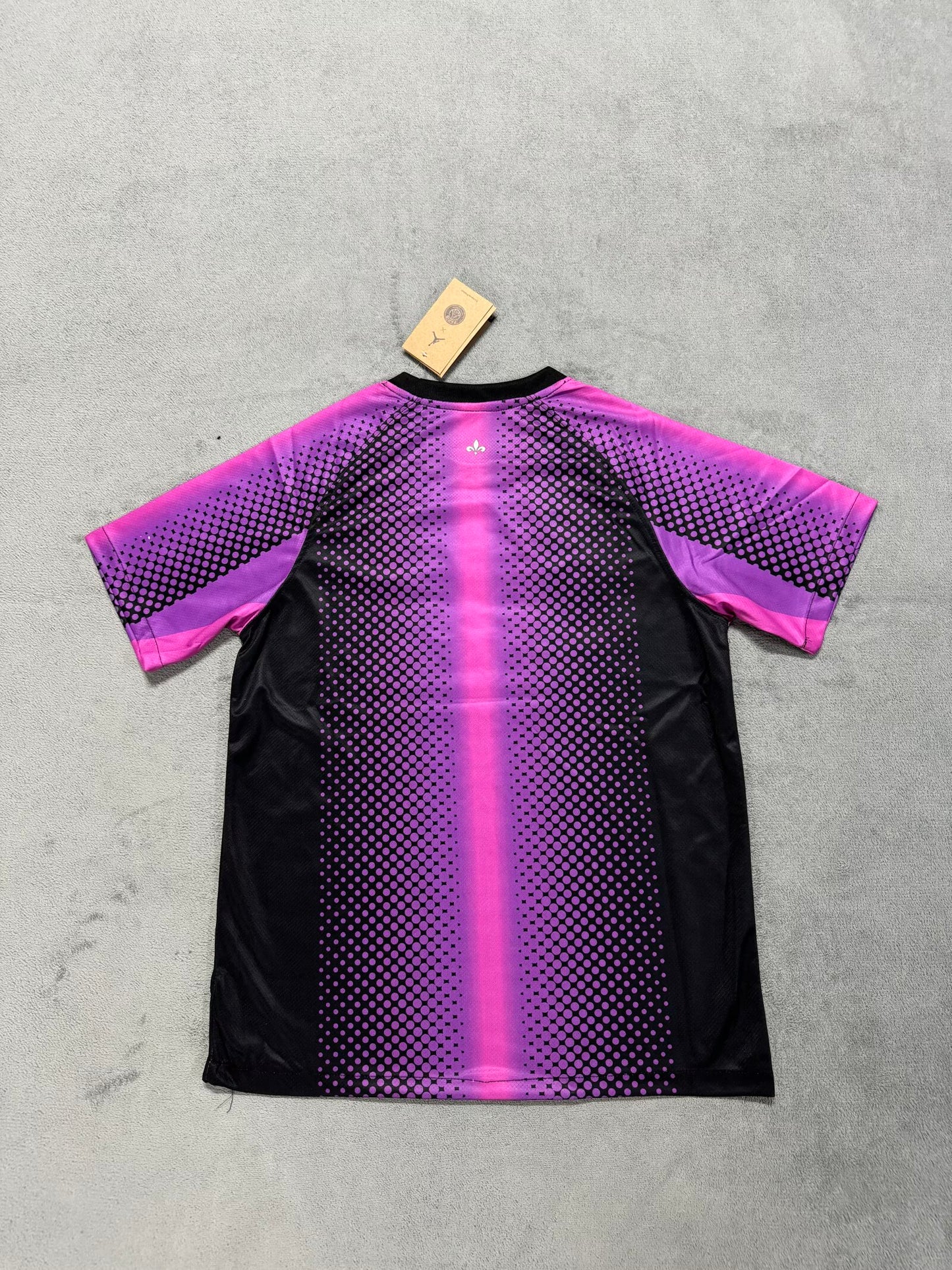 PSG Paris Special Edition 2025/2026 Fan Version Football Jersey