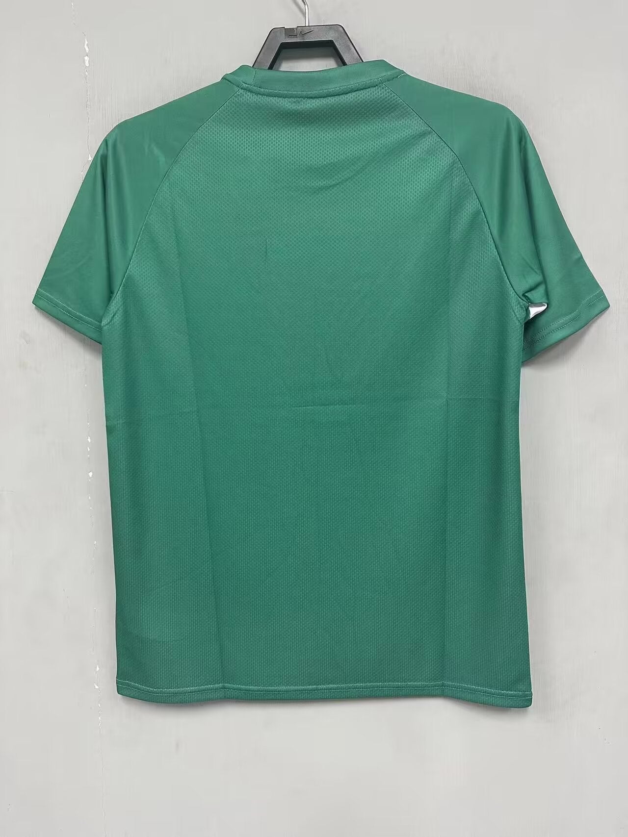 Palmeiras 2024/2025 Fan Version Tracksuit
