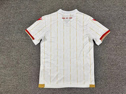 other team 2025/2026 Away Fan Version Football Jersey