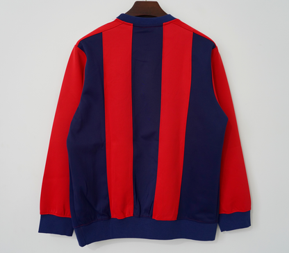 Bayern Munich Hoodie Training Special Jersey 2026-2027