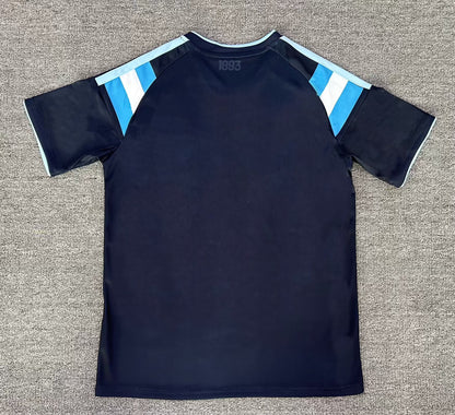 Argentina Special Edition 2026/2027 Fan Version Football Jersey