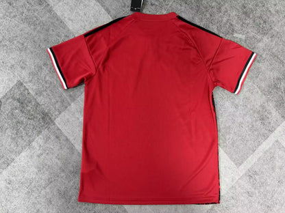 Manchester United Special Edition 2025/2026 Fan Version Football Jersey