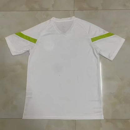 Palmeiras 2023/2024 Fan Version Tracksuit