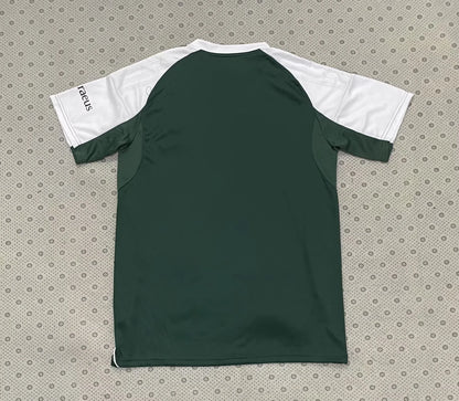 Celtic Special Edition 2025/2026 Fan Version Football Jersey
