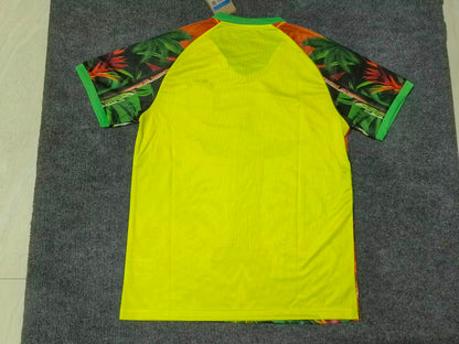 Brazil Special Edition 2025/2026 Fan Version Football Jersey
