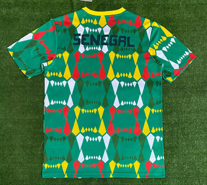 Senegal 2023/2024 Fan Version Tracksuit