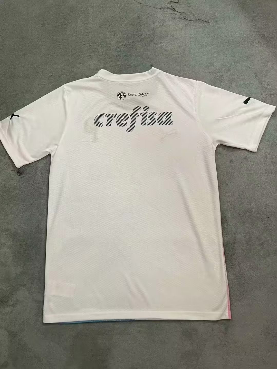Palmeiras Special Edition 2023/2024 Fan Version Football Jersey