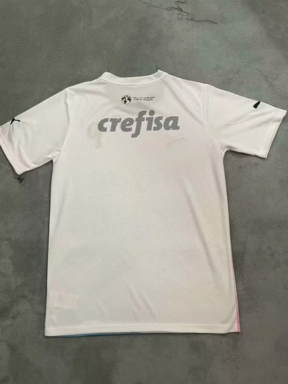 Palmeiras Special Edition 2023/2024 Fan Version Football Jersey