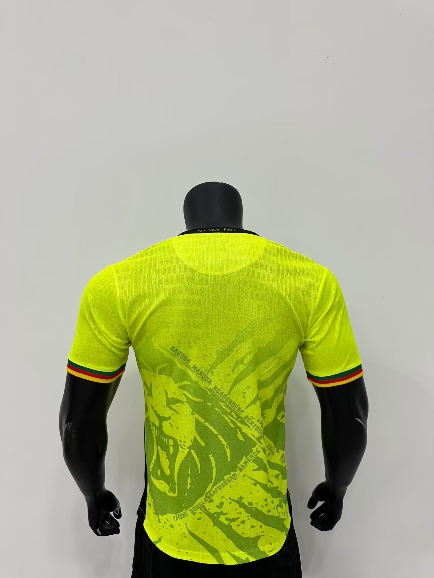 Cameroon Special Edition 2025/2026 Player Version Football Jersey