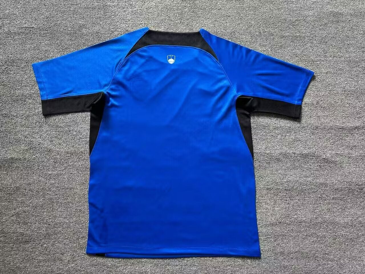 Slovenia 2024/2025 Home Fan Version Football Jersey