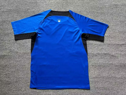 Slovenia 2024/2025 Home Fan Version Football Jersey