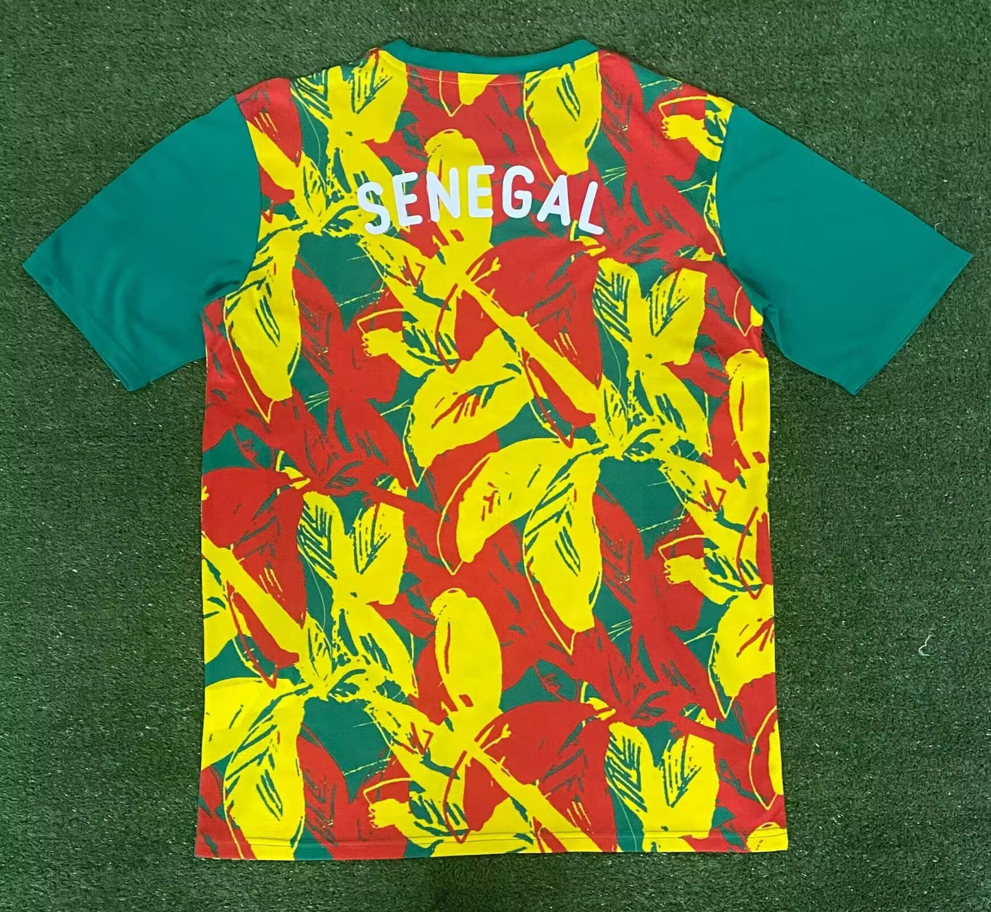 Senegal Special Edition 2024/2025 Fan Version Football Jersey