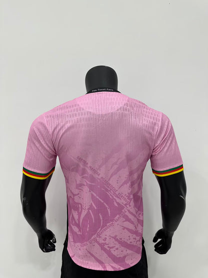 Cameroon Special Edition 2025/2026 Player Version Football Jersey