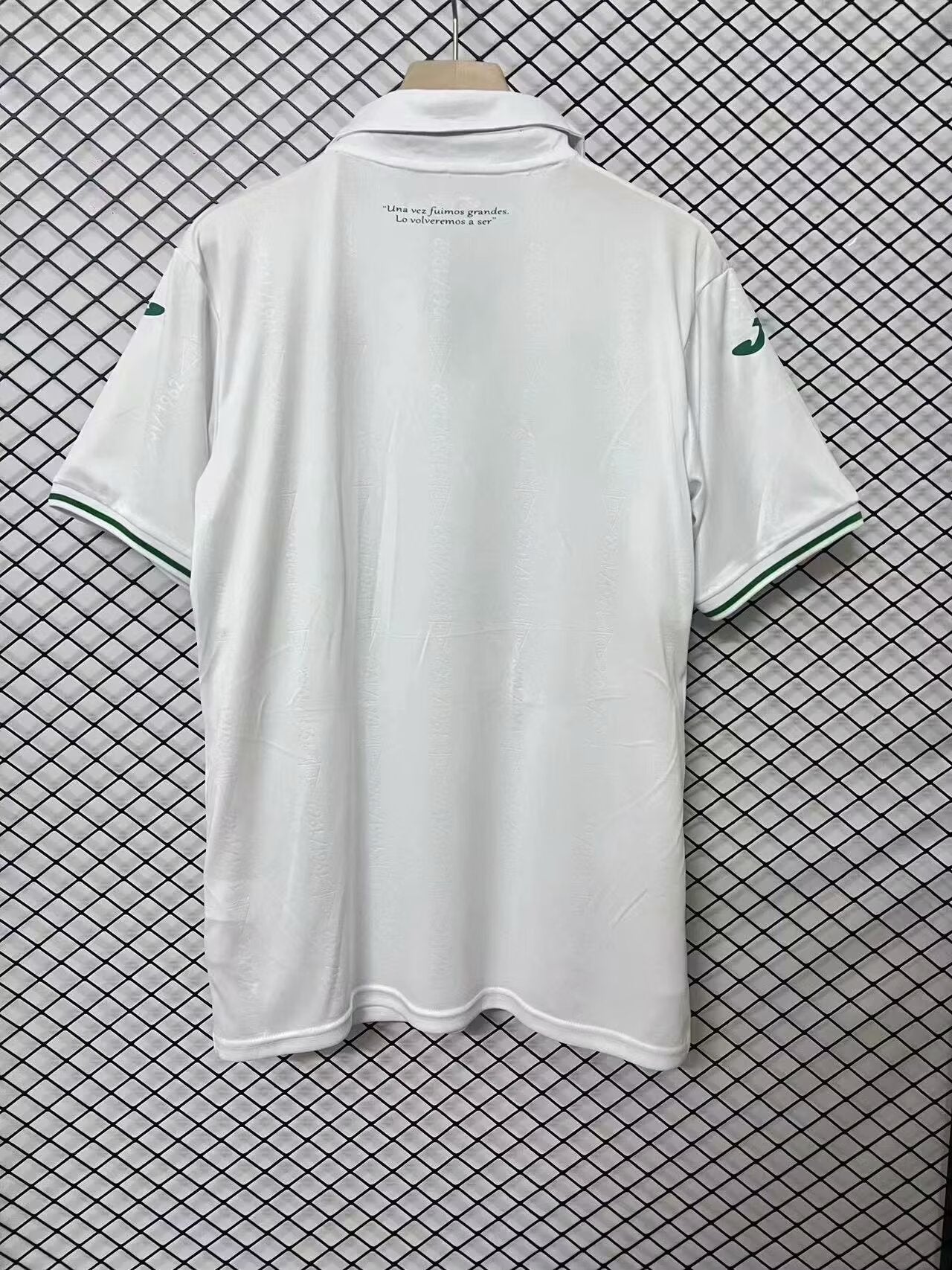 other team Special Edition 2024/2025 Fan Version Football Jersey