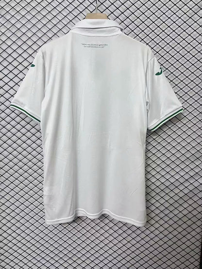 other team Special Edition 2024/2025 Fan Version Football Jersey
