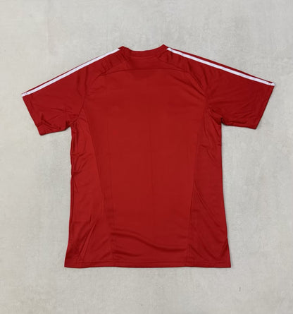 Bayern Munich Special Edition 2025/2026 Fan Version Football Jersey