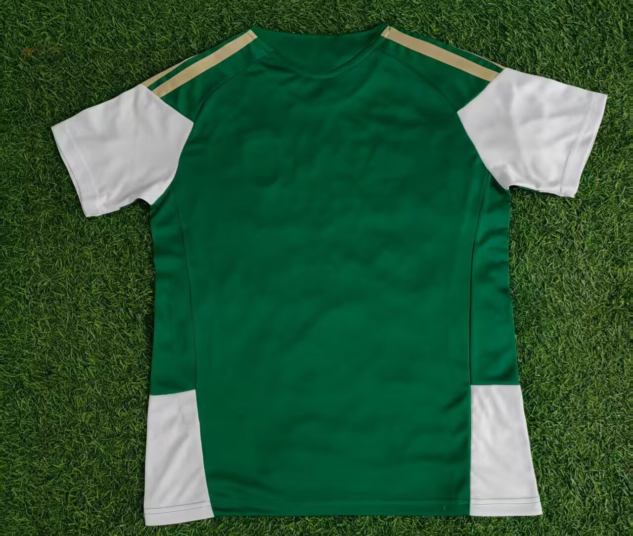 Italy Special Edition 2025/2026 Fan Version Football Jersey