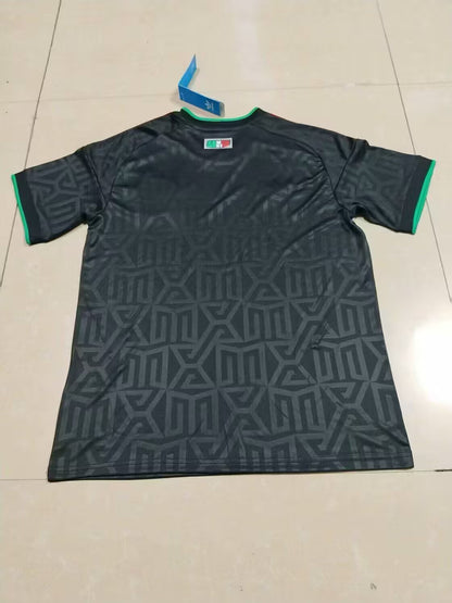 Mexico Special Edition 2025/2026 Fan Version Football Jersey