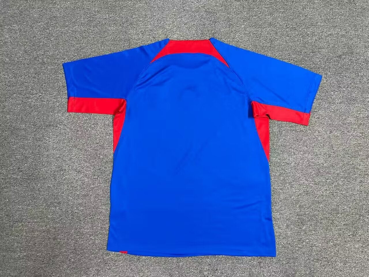 Slovakia 2024/2025 Home Fan Version Football Jersey