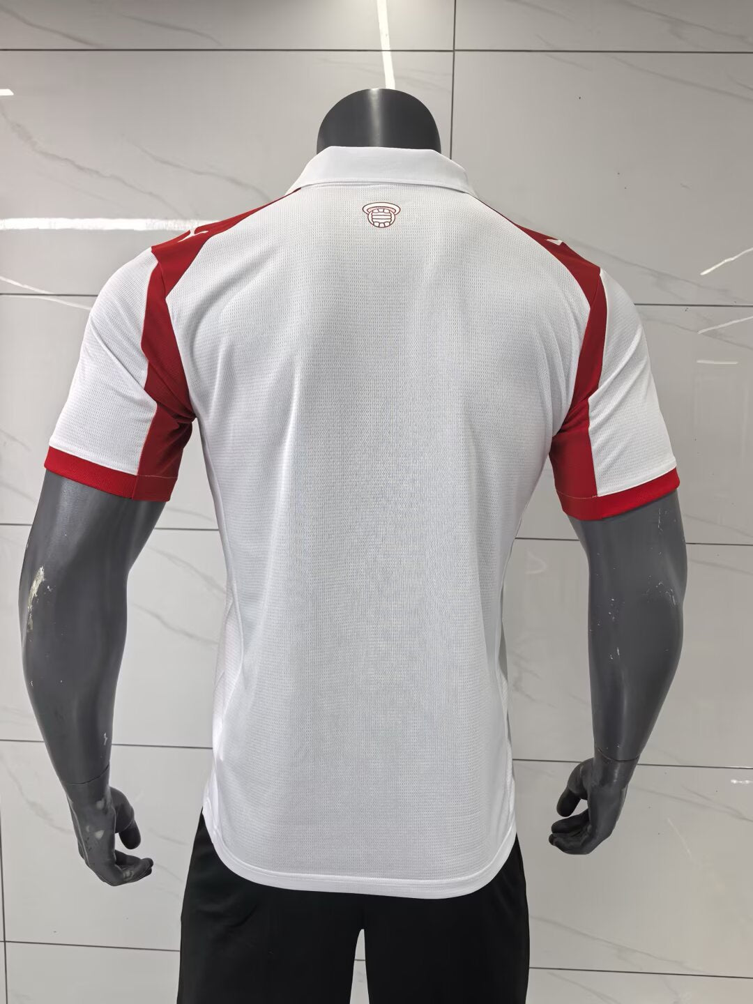 Southampton 2025/2026 Home Fan Version Football Jersey