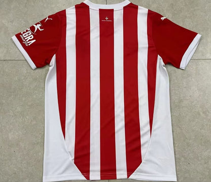 Spain-La Liga 2024/2025 Home Fan Version Football Jersey