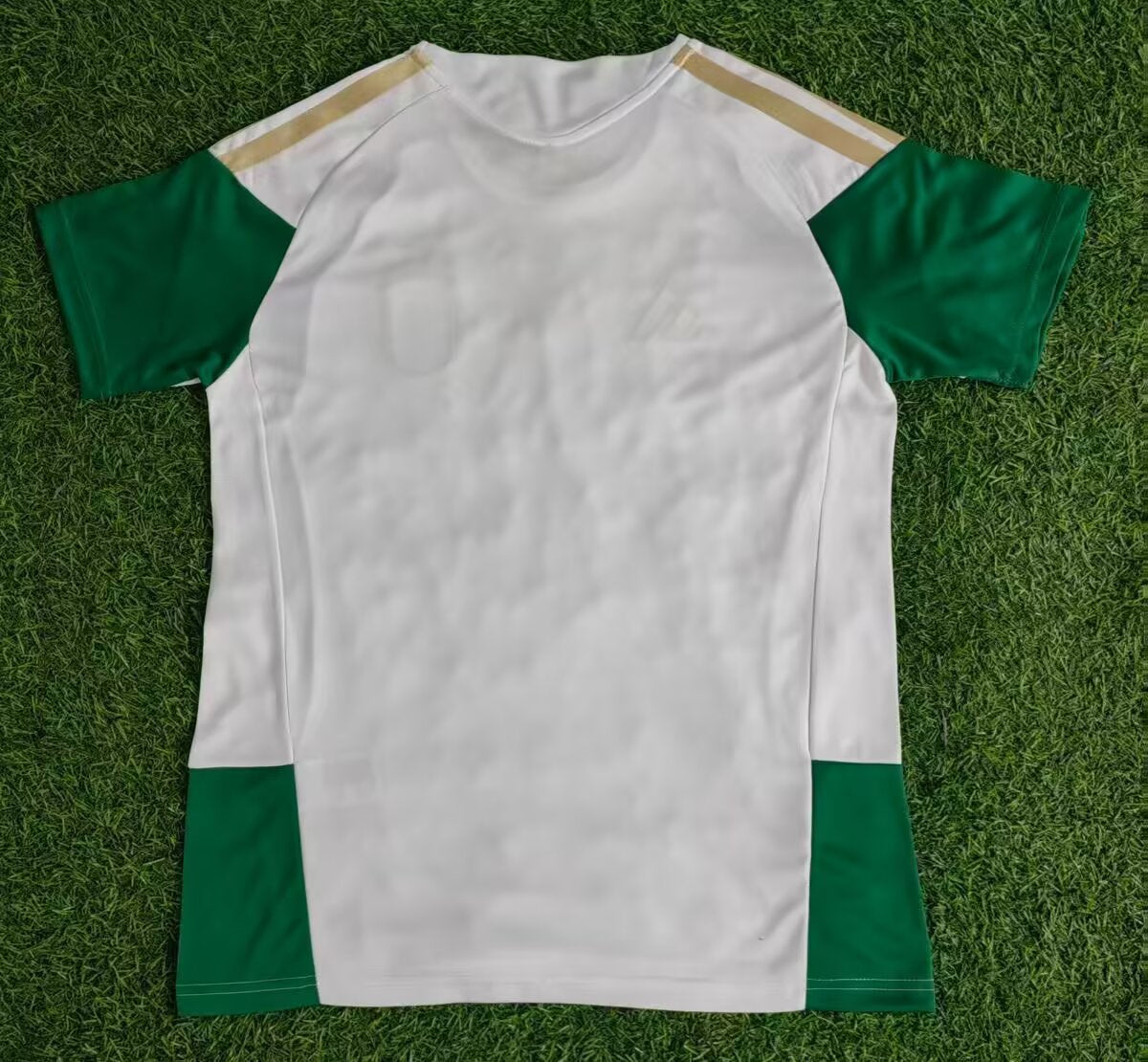 Italy Special Edition 2025/2026 Fan Version Football Jersey