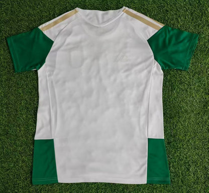 Italy Special Edition 2025/2026 Fan Version Football Jersey