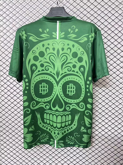 Real Betis Special Edition 2025/2026 Fan Version Football Jersey