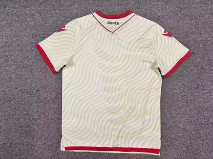 Albania 2026/2027 Away Fan Version Football Jersey