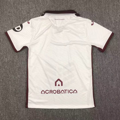 Torino Special Edition 2024/2025 Fan Version Football Jersey