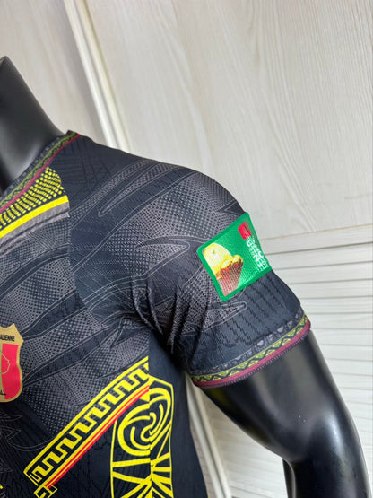 Mali 2026/2027 Player Version Football Jersey