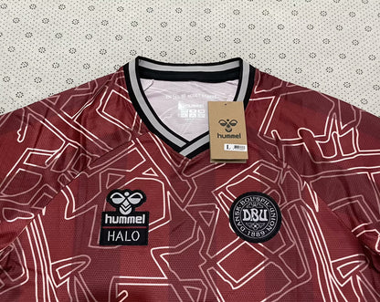 Denmark Special Edition 2024/2025 Fan Version Football Jersey