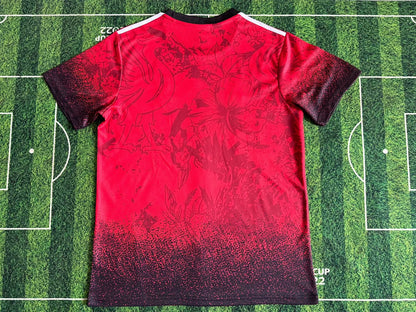 Liverpool Special Edition 2024/2025 Fan Version Football Jersey